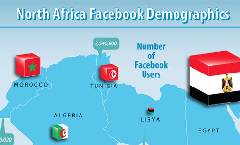 Social Media in North Africa: a ‘Double-Edged Weapon’