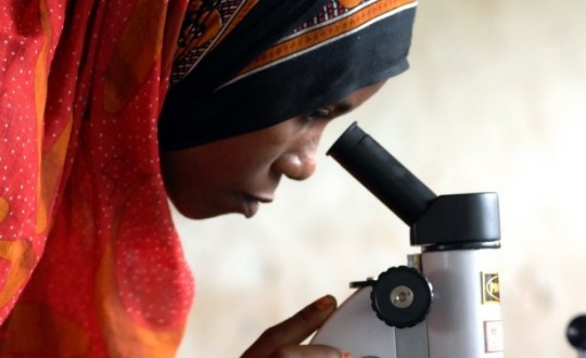Mauritania urges scientific research development