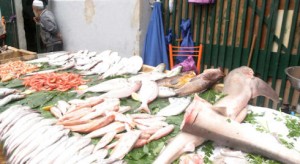 algeria-fish-market