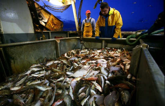 European parliament Approves EU-Morocco Fisheries agreement