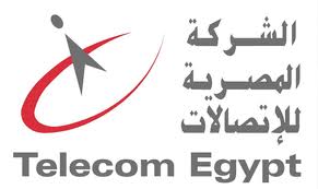 Egypt : Controversial license nears implementation
