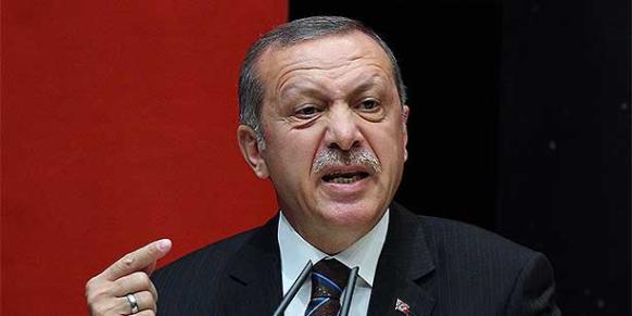 Erdogan’s latest speech “insulting”,Egyptian FM