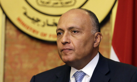Egypt: FM Shoukry concerned over situation in Libya