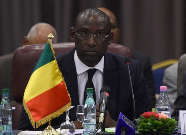 Mali: Libya is destabilizing Mali, FM Diop tells Security Council
