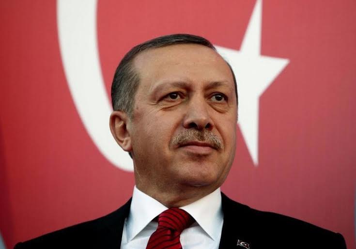 Turkey: A government will be formed or elections will be called, Erdogan