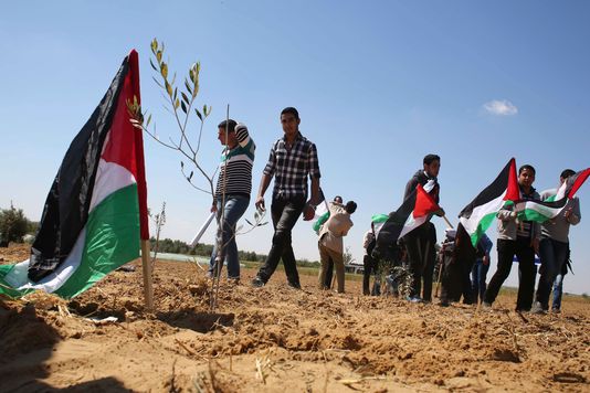 Palestine Joins World Customs Organization, Forward Step towards Statehood