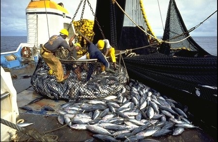 Mauritania: EU fishermen calling for a new better deal
