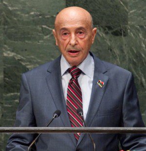 Libya can’t fight terrorism alone, HoR President tells UN