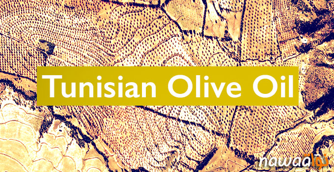 Tunisia: Olive Oil Exports Soaring