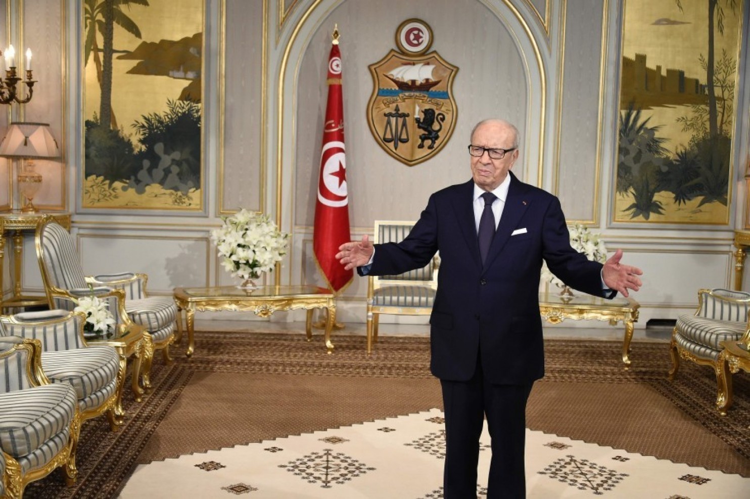 Tunisia: President Calls for National Unity to Withstand Post-Revolution Challenges