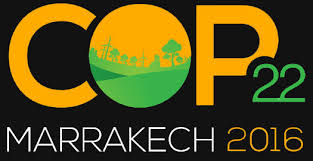 COP22: Financial Support Coming