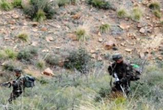Algeria: 7 Terrorists Killed, Defense Ministry