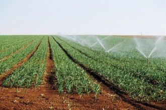 Morocco Testing Green Technologies in Farming