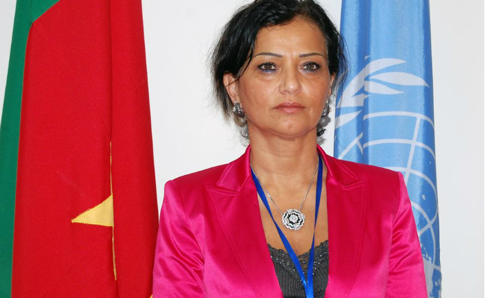 Moroccan Najat Rochdi Gets another High Profile UN Job