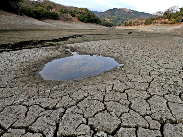 Water Scarcity in MENA region, FAO Rings Alarm Bell