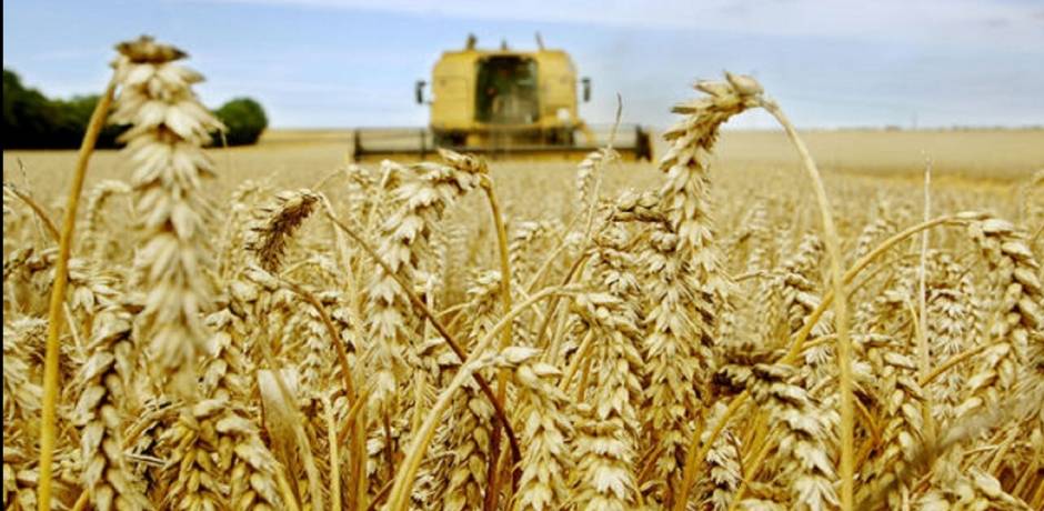 Morocco’s Crop Year Bodes Well in 2017- Official