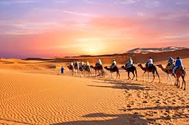 Morocco Taps into Tourism Potential, Boosts Tourist Arrivals- OBG report