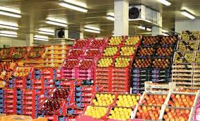 Morocco Largest Exporter of Agricultural Products to Spain in First Half of 2017