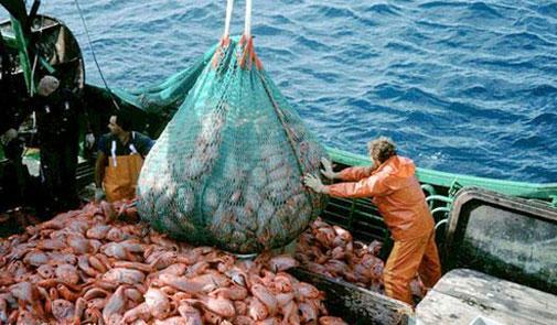 EU Agrees to Open Talks with Morocco on New Fisheries Deal
