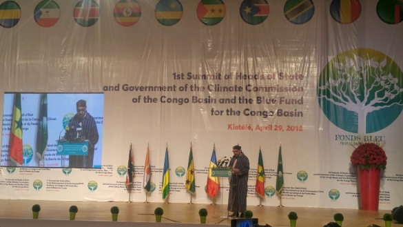 Safeguarding Africa’s Biodiversity, a Collective Responsibility, Moroccan King Says