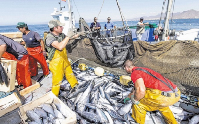 Morocco, EU resume Talks on Fisheries Agreement
