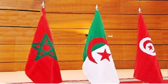 Algeria Wants Joint 2030 World Cup Bid with Morocco & Tunisia
