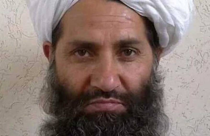 Tunisia: Row Deepens over Germany’s Deportation of Osama bin Laden’s Bodyguard