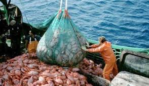 EU Council Adopts Morocco-EU Fisheries Agreement