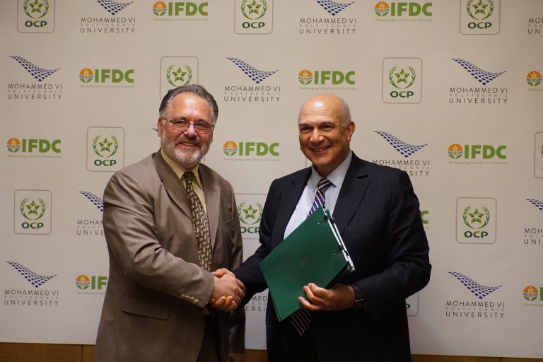 Fertilizers: OCP pools efforts with IFDC for African farmers’ benefit
