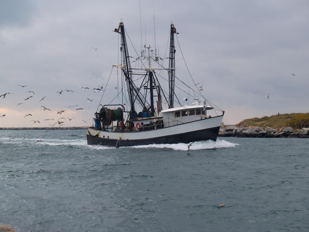 Morocco allows 128 European trawlers to fish in its waters