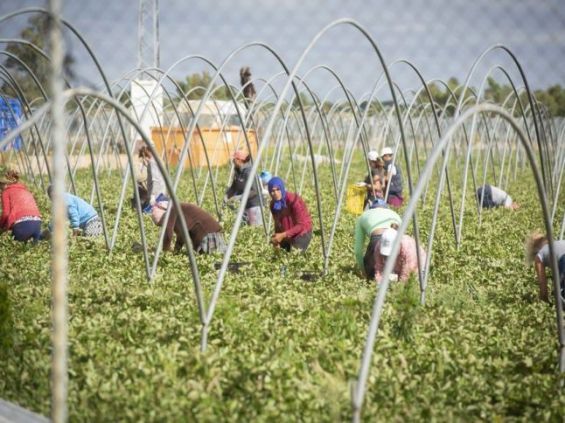 Morocco, Spain vow to protect rights of seasonal workers