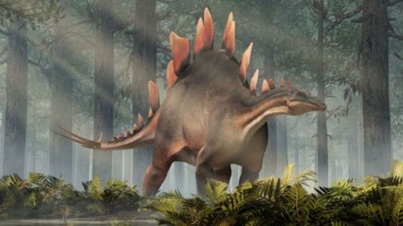 The oldest stegosaur ever has been discovered in Morocco