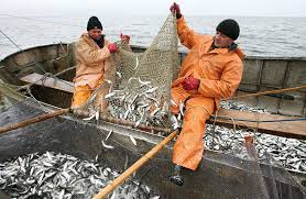 morocco fisheries sector