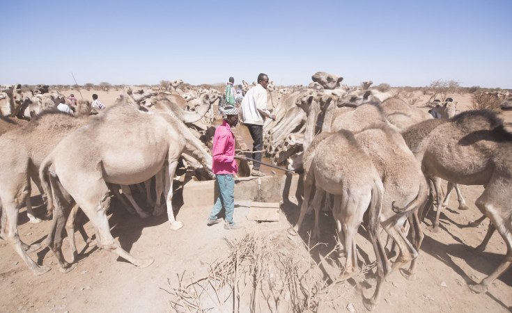 Global Environment Facility, UNDP launch $10 Million Project for climate adaptation in Somalia