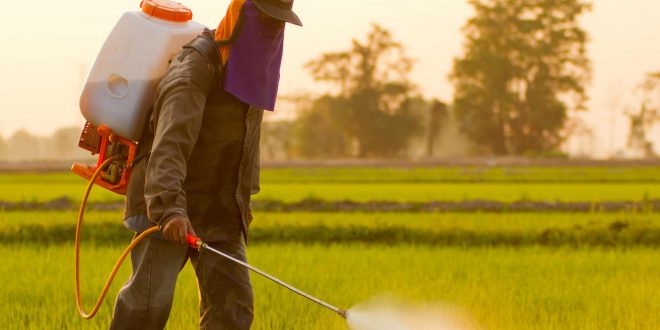 Pesticides: Rabat Updates its Law to Protect Human Health & Environment