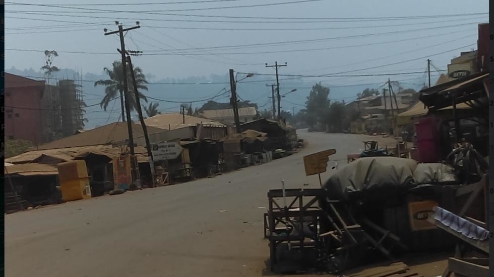 Cameroon: Over a hundred abductions by armed separatists before elections (HRW)