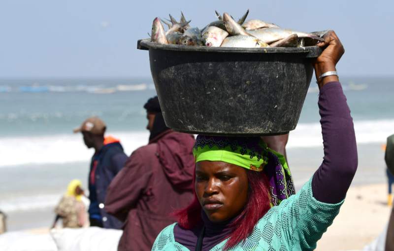Senegal, Mauritania Ink Fisheries, other Deals