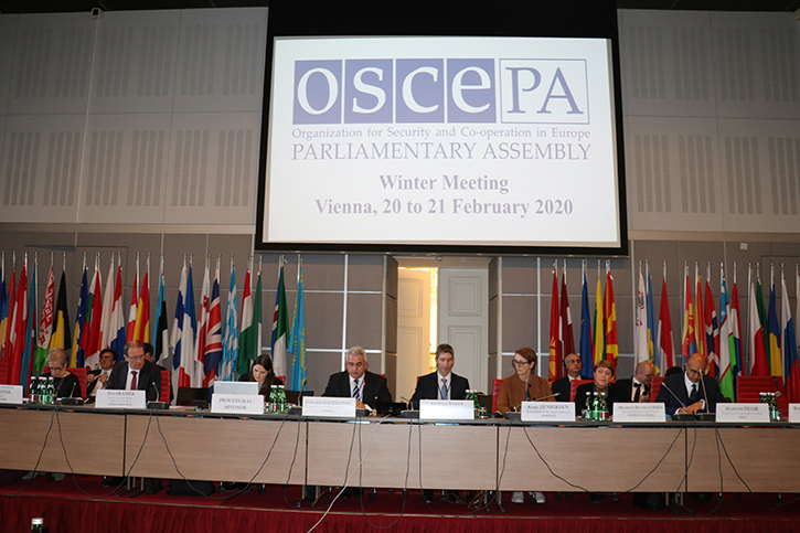 Morocco Took Part in Winter Meeting of OSCE Parliamentary Assembly