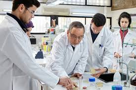 COVID-19: Morocco to invest $1 million in scientific research