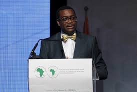 AfDB President’s accusers call for independent investigation