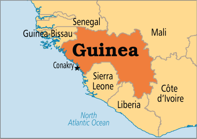 Guinea: Authorities admit death of thirty people during March referendum
