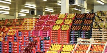 Morocco’s exports of fruits & veggies cross one-million ton threshold