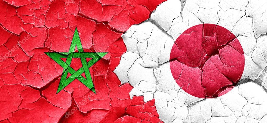 Japanese House of Councilors adopts agreement with Morocco on non-double taxation