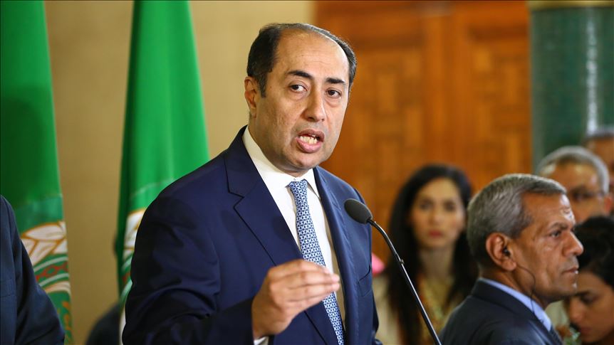 Arab League official Hossam zaki