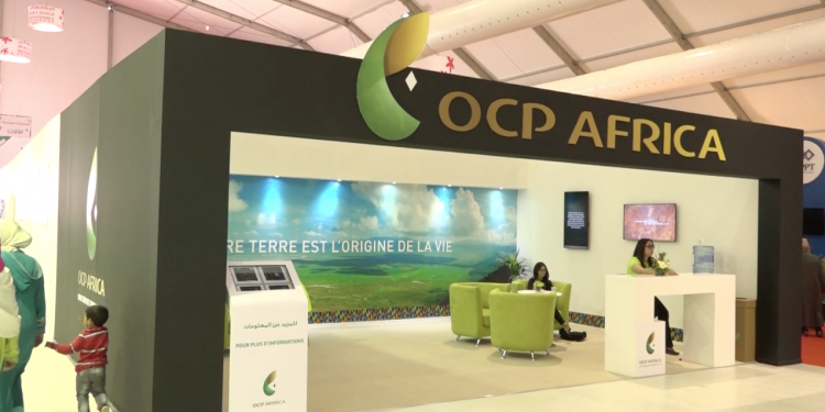 Morocco’s OCP maintains leadership in African fertilizers market