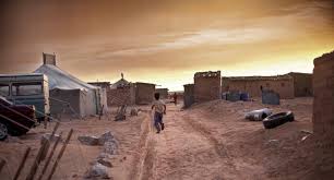Tindouf camps 3