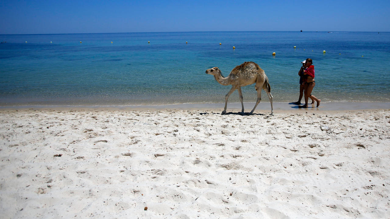 Tunisia: Government announces aid to battered tourism sector