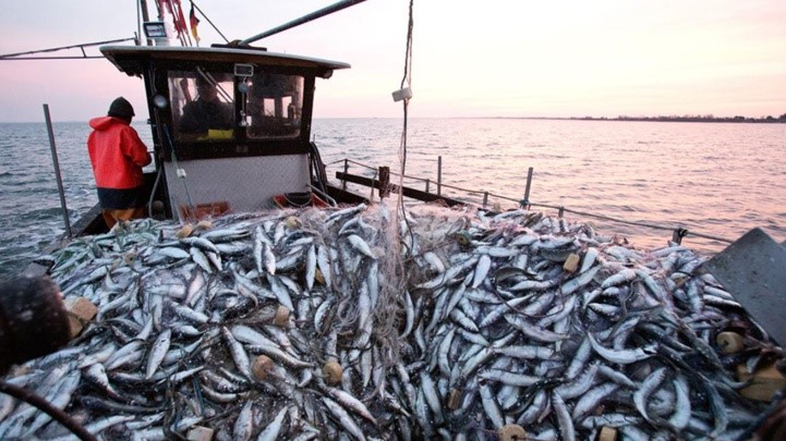 Morocco’s fisheries exports up 7% by September