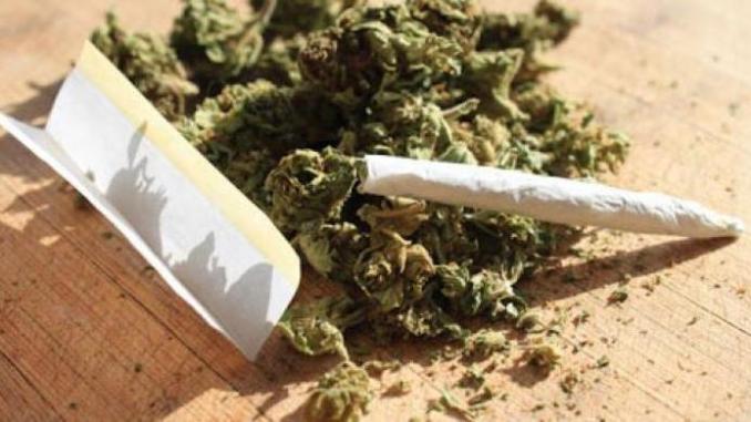 Outcry in Tunisia over harsh jail sentence to three people for smoking pot