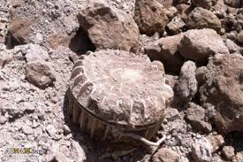 Landmine kills Tunisian man in restive Kasserine province